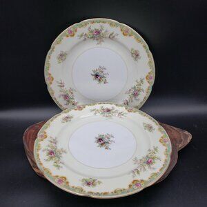 Rembrandt Luncheon Plates 9" Set of 2 Green Floral Gold Trim Vintage China